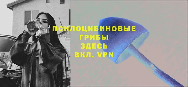 круглые Алзамай