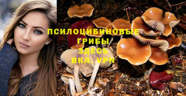 круглые Алзамай