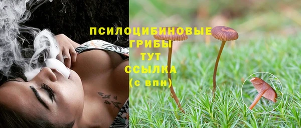 экстази Алексин