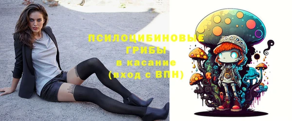 круглые Алзамай