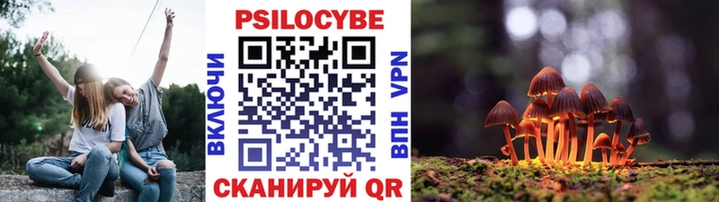 Псилоцибиновые грибы GOLDEN TEACHER Миасс